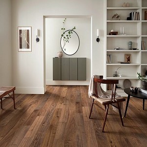 Revival Walnut